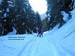 05 straccia larga nel bosco